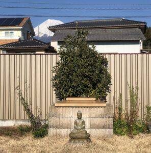 空き地の寄付で樹木葬